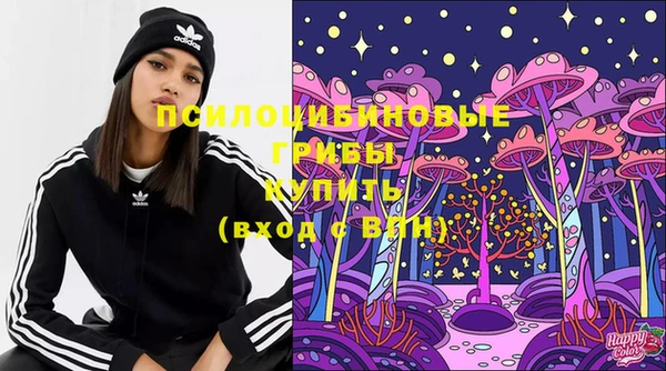 эйфоретик Баксан