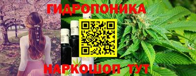 2c-b Славянск-на-Кубани