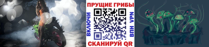 Псилоцибиновые грибы MAGIC MUSHROOMS  купить наркоту  Ногинск 