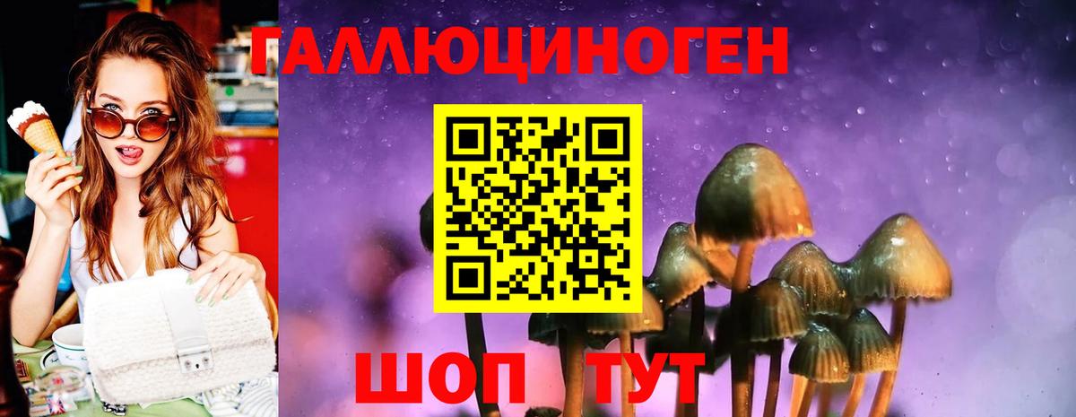 закладка  Вход с VPN  Ногинск  Галлюциногенные грибы прущие грибы 